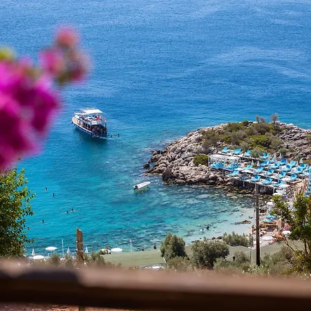 Hamarat Kaş
