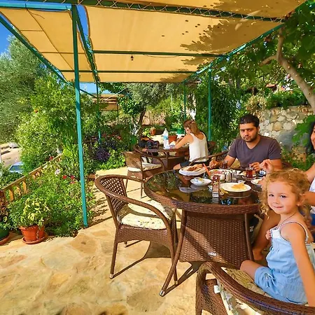 Hamarat 3* Kas