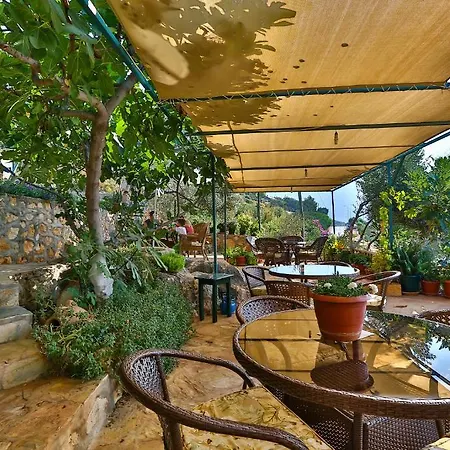 Hamarat Kaş