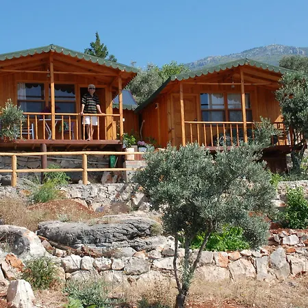 Hamarat Hotel 3*