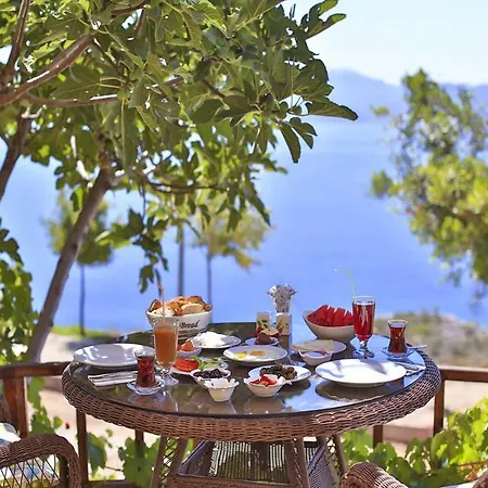 Hamarat Kaş