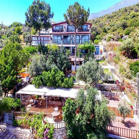 Hamarat Отель 3*