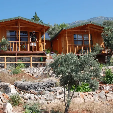 Hamarat Κας