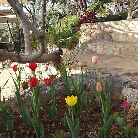 Hamarat Κας